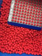 PU Bullet